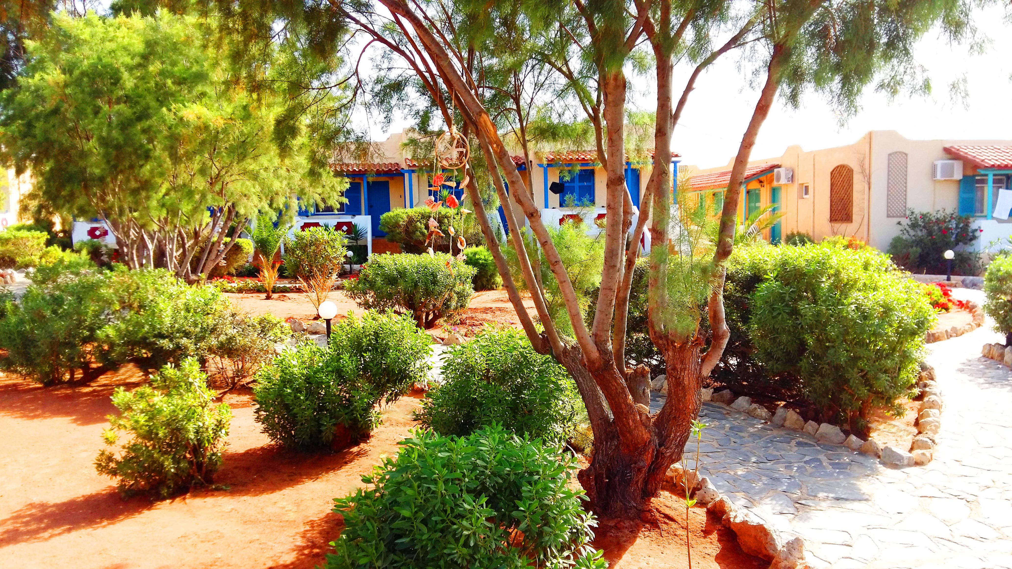 Zorbas Beach Village Hotel Stavros  Luaran gambar